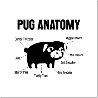 The Pug Anatomy Posters and Art